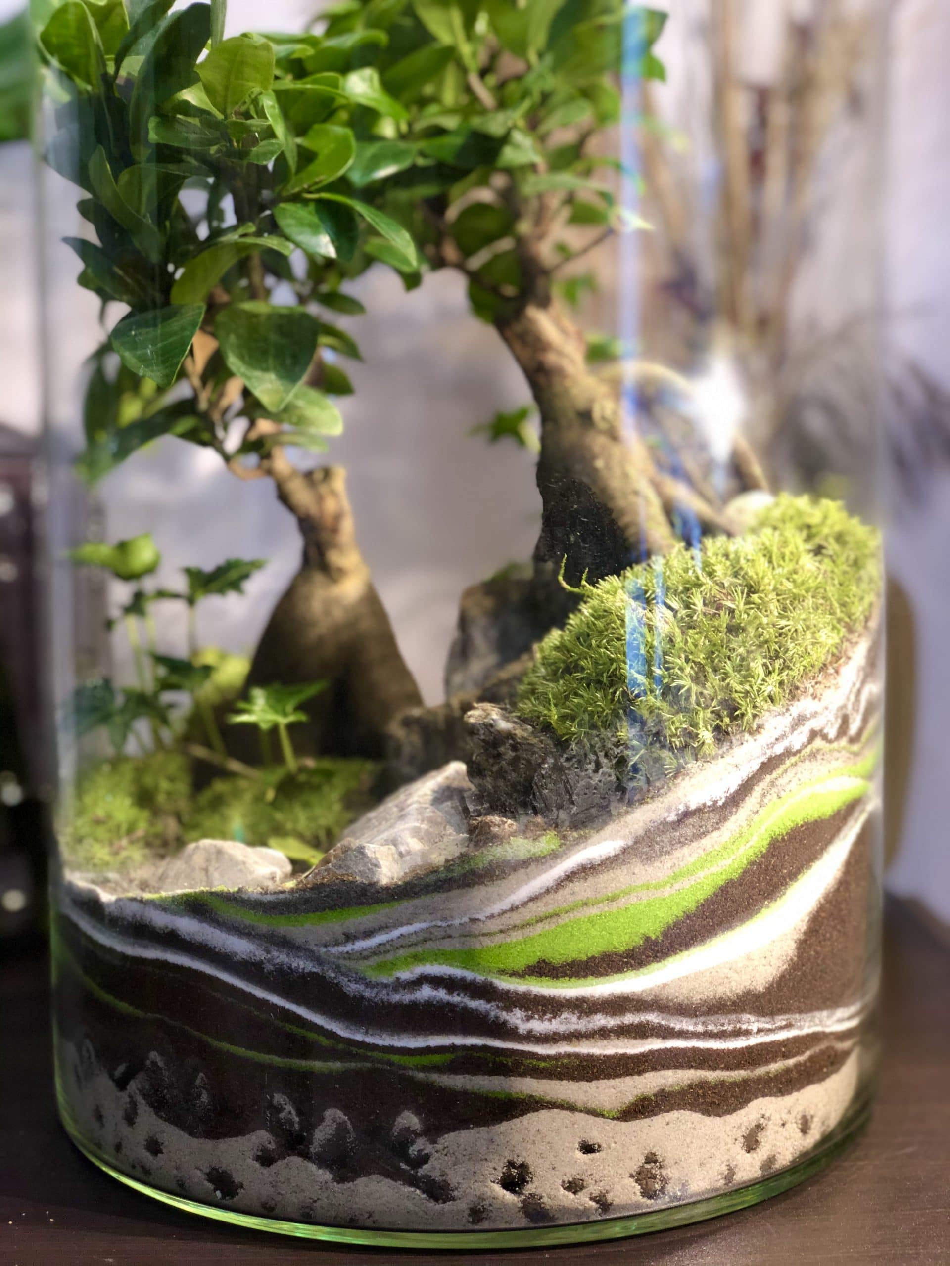 Forest in a jar – DIY – do it yourself!
