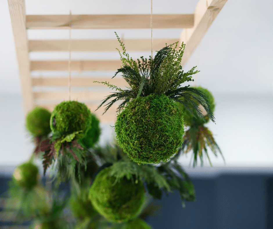 Kokedama – japońska sztuka sadzenia roślin